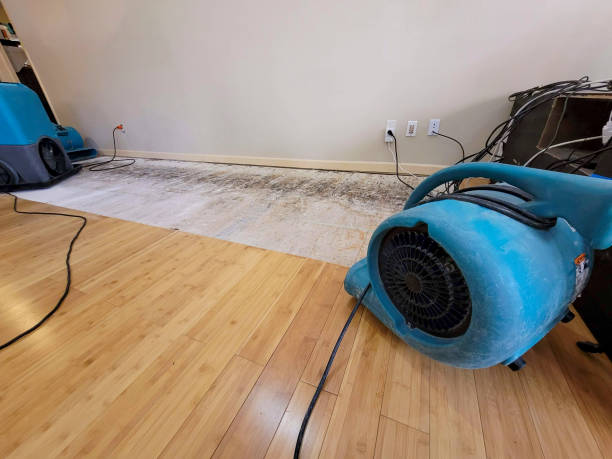 Reliable Basement Flood Cleanup contractor in Stanhope, IA by Hirex Water Damage