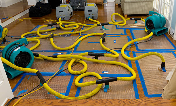 Professional Basement Flood Cleanup technician working in Stanhope, IA